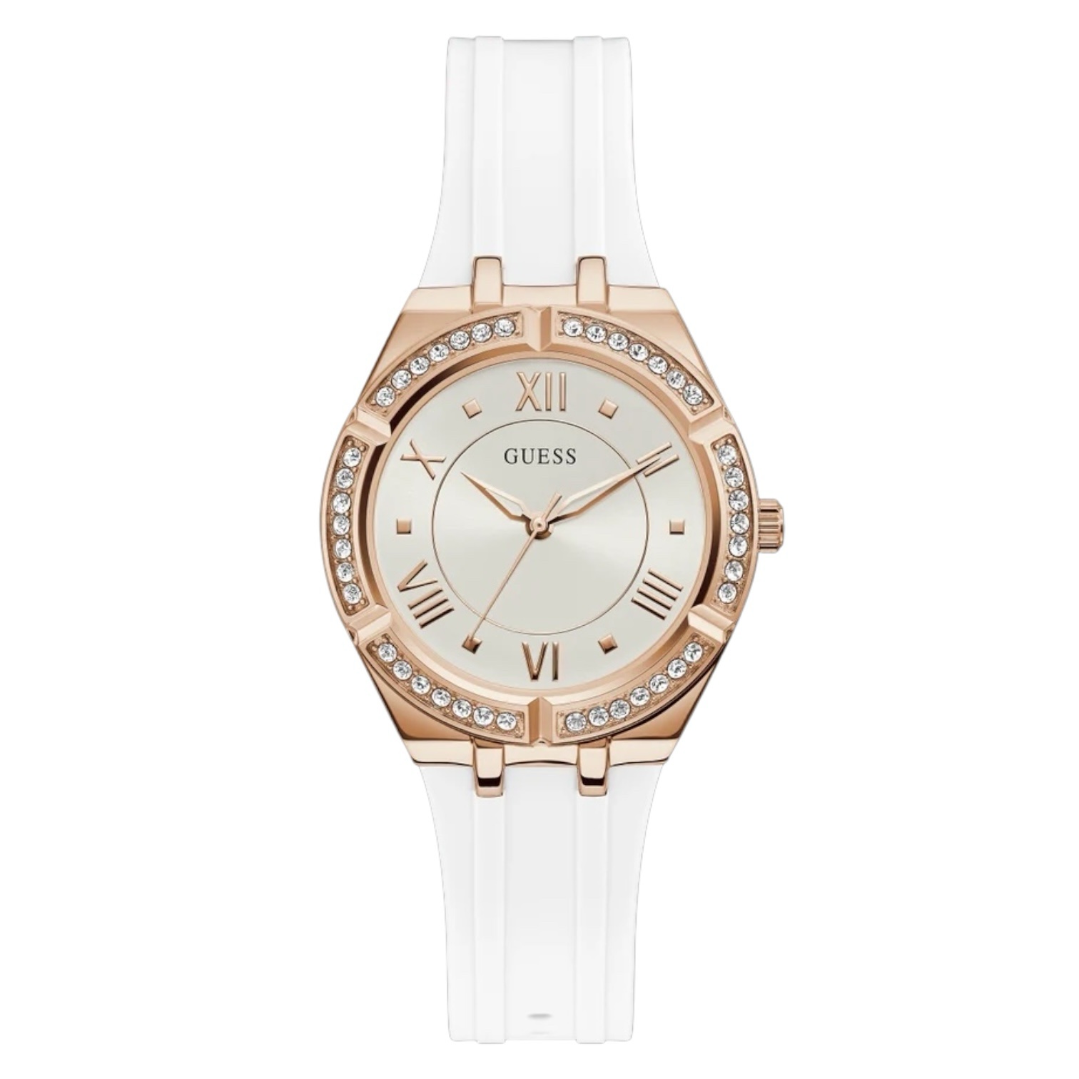 photoroom_002_20240624_002230.jpeg photoroom 002 20240624 002230